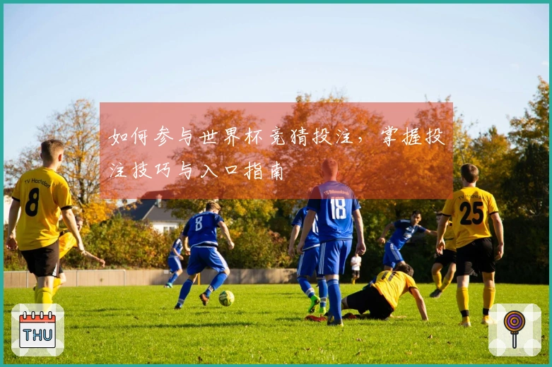 如何参与世界杯竞猜投注，掌握投注技巧与入口指南