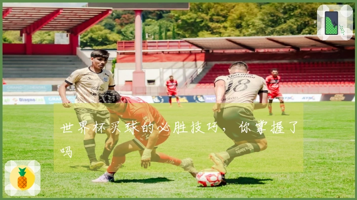 世界杯买球的必胜技巧，你掌握了吗