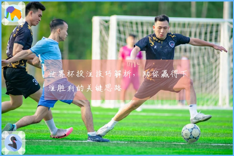 世界杯投注技巧解析，助你赢得下注胜利的关键思路
