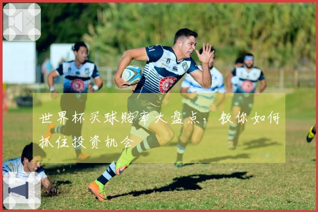 世界杯买球赔率大盘点，教你如何抓住投资机会