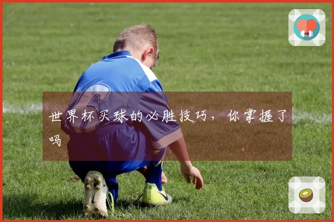 世界杯买球的必胜技巧，你掌握了吗