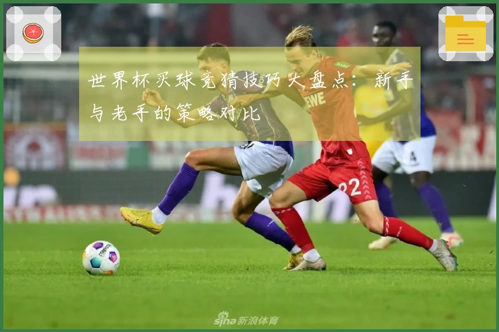 世界杯买球竞猜技巧大盘点：新手与老手的策略对比