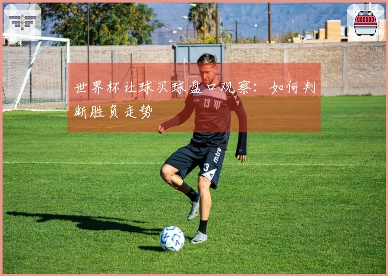 世界杯让球买球盘口观察：如何判断胜负走势