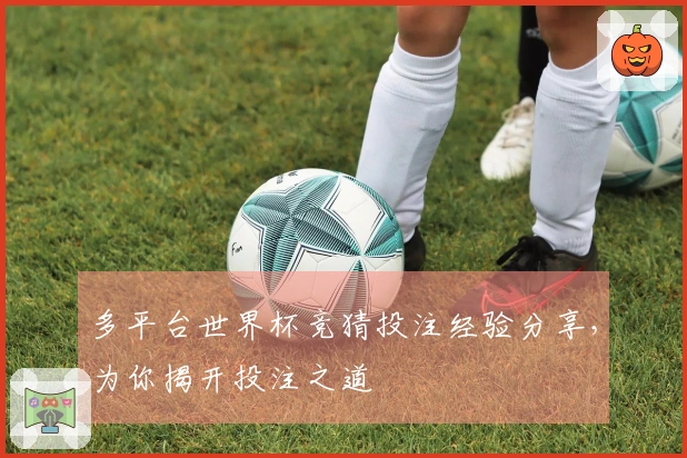 多平台世界杯竞猜投注经验分享，为你揭开投注之道
