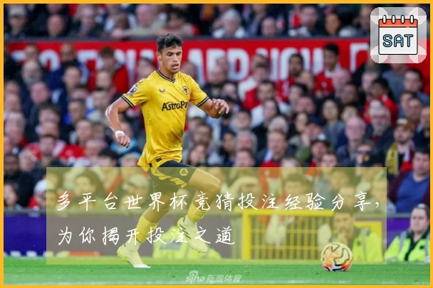 多平台世界杯竞猜投注经验分享，为你揭开投注之道